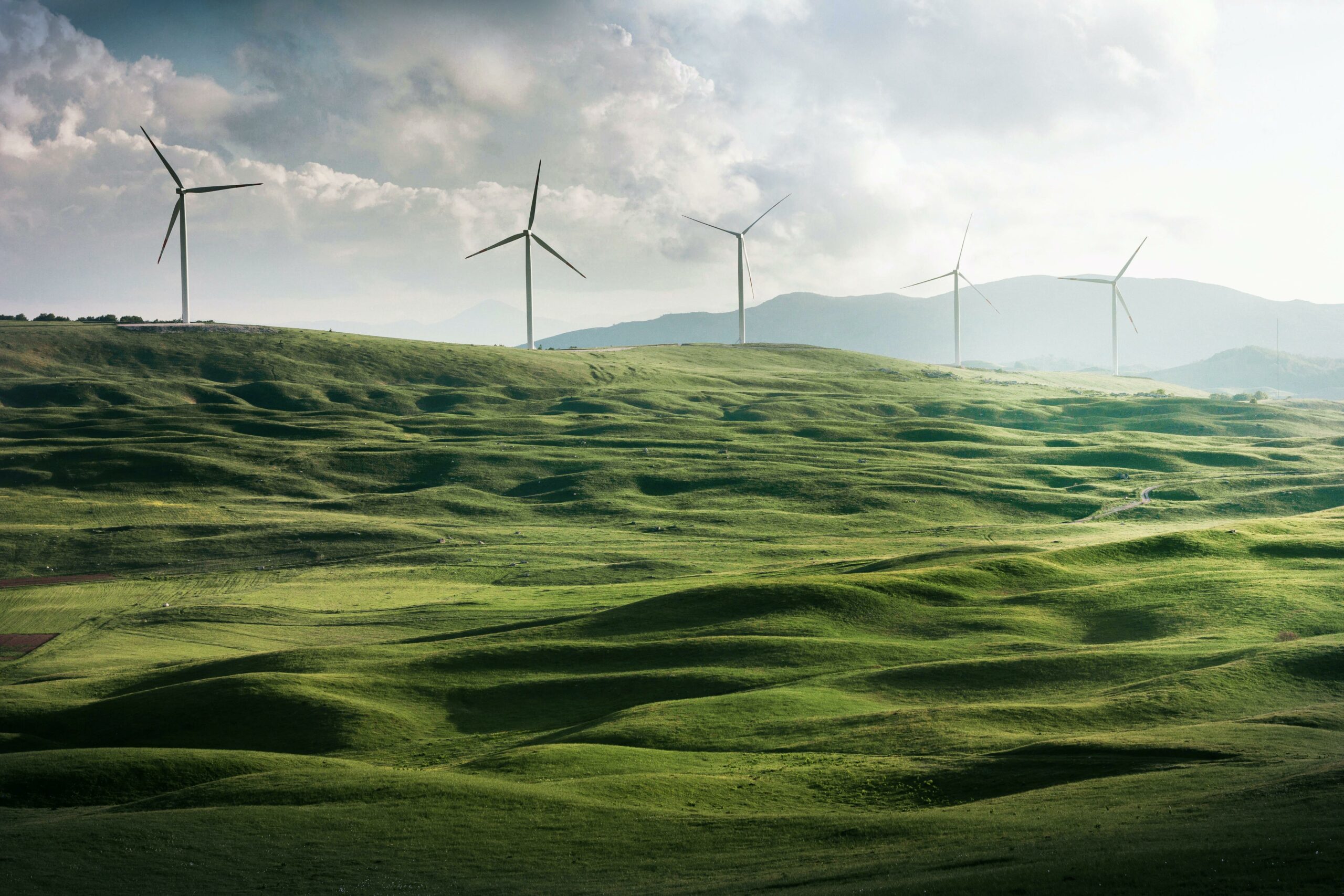 Energy & Mining