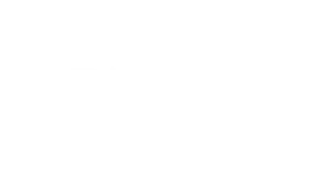 gi partners (2)